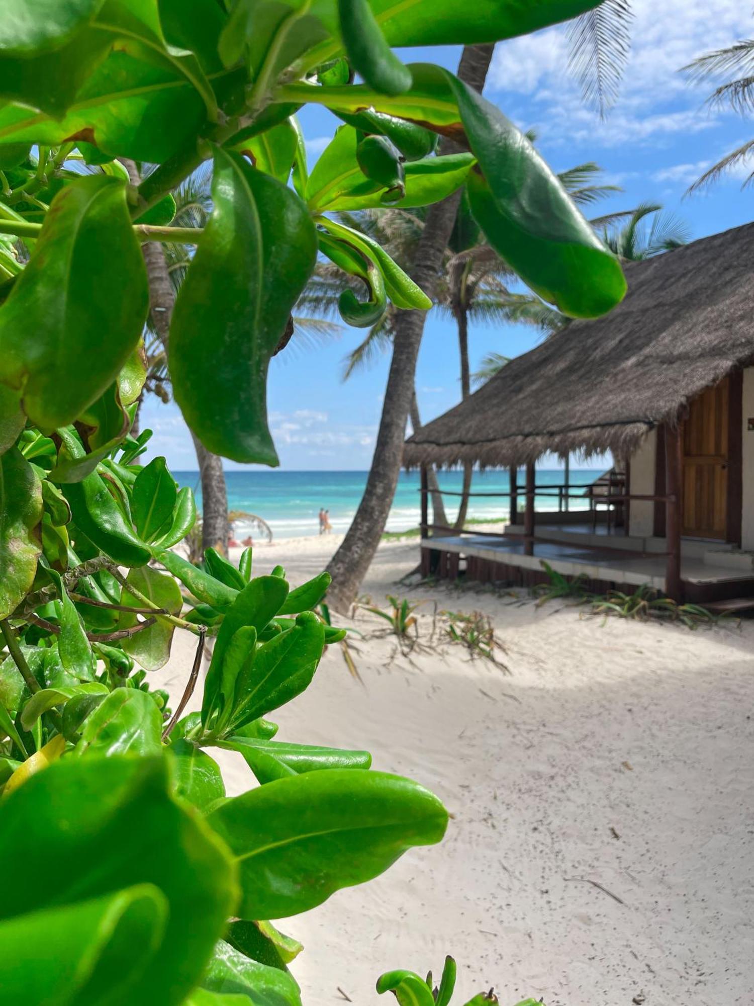 Bt Live Tulum Located At The Party Zone Hotel Exterior photo